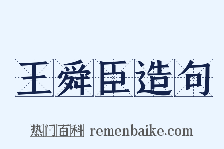 王舜臣造句是什么意思的图片